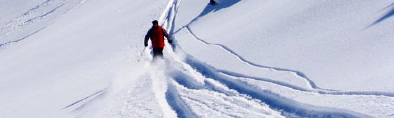 skier trekking in the snow